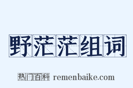 野茫茫组词是什么意思的图片